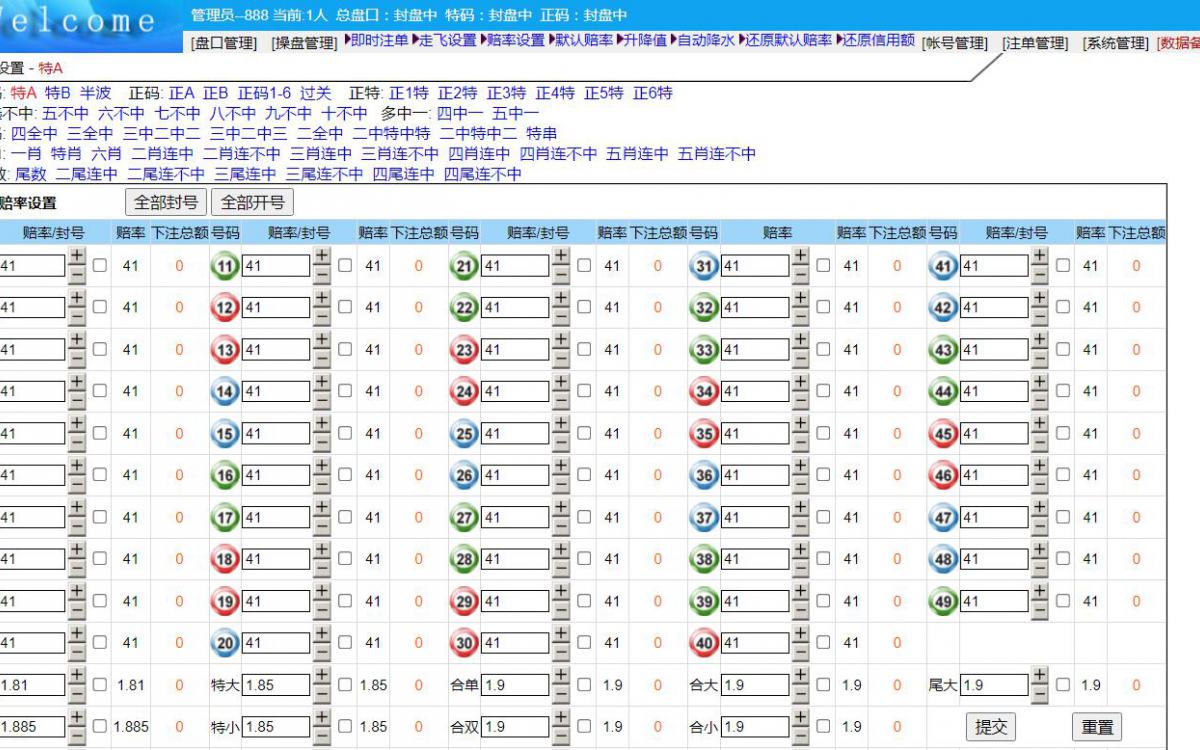 系统定制与搬站 系统界面